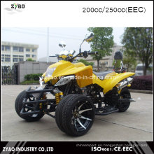 Road Legal Quad Bikes en venta 200cc CEE